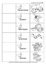 Flip-Flap-Eichhörnchen-Ernährung-2-SW.pdf